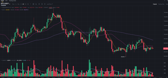4월 4일 (토) 코선 리포트